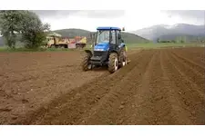 Patates Ekimi Özellikleri ve Yöntemleri